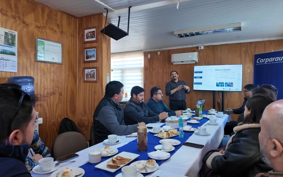 Reuniones Corparauco: Diagnóstico Tecnológico y Alianzas para Fortalecer Empresas en la Provincia de Arauco